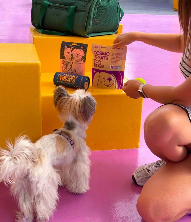 pet宠物零食以昆虫蛋白开辟全新赛道不朽情缘网站中俄联合品牌cosmo(图1)