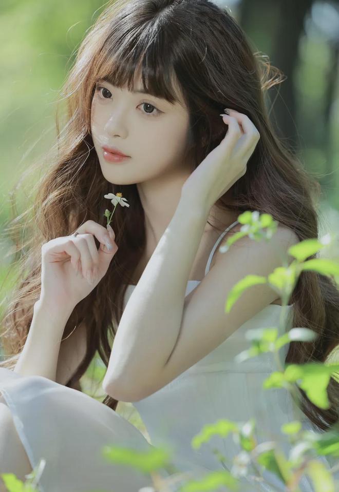 高清免费网站网 MBA智库不朽情缘平台登录入口日本