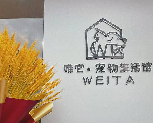 不朽情缘游戏网站登录宠物洗澡宠物洗护宠物美容宠物剪毛狗剪毛狗狗剪毛(图2) 不朽情缘游戏网站登录宠物洗澡宠物洗护宠物美容宠物剪毛狗剪毛狗狗剪毛(图2)