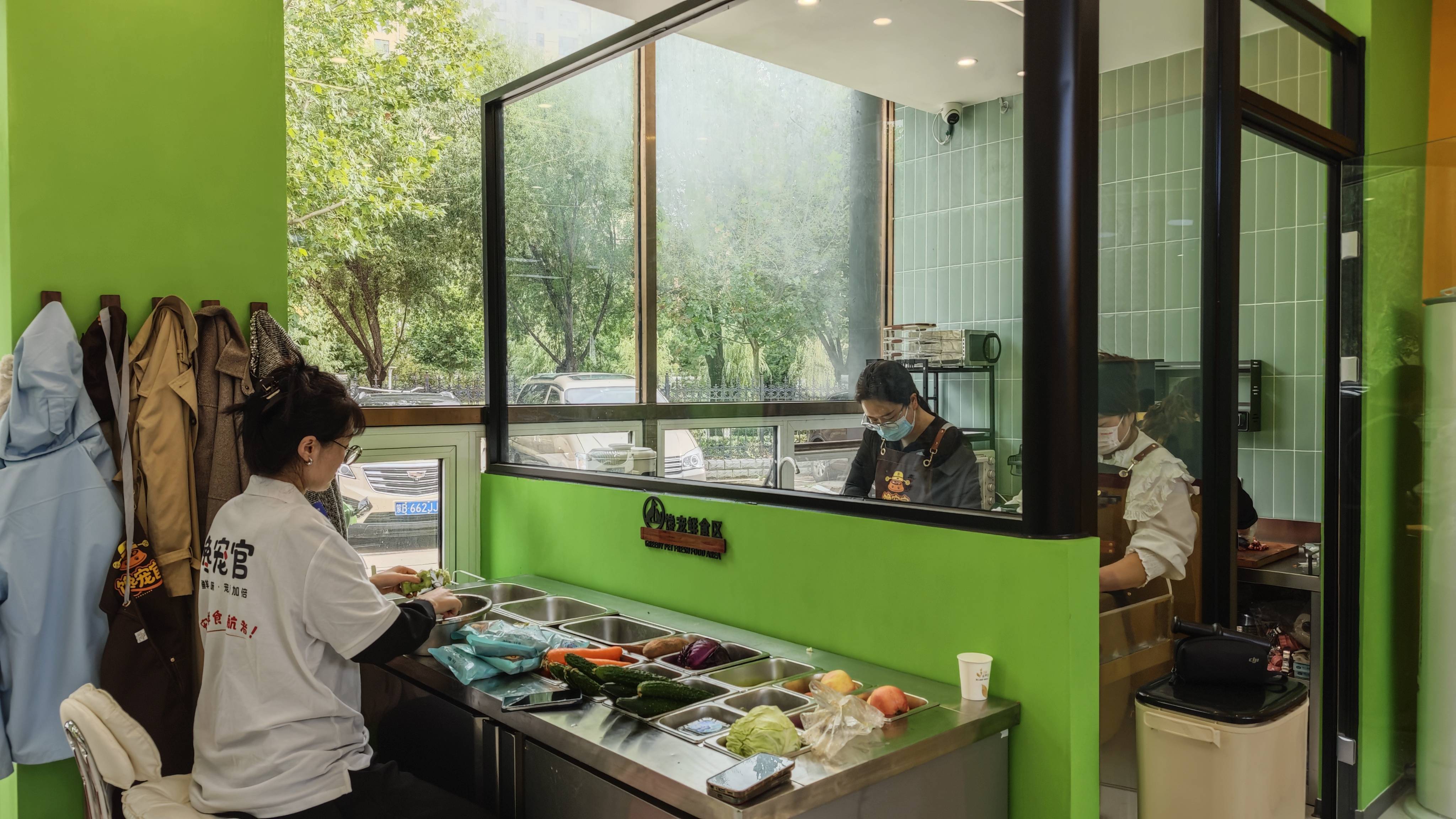 ：深耕铸标杆 共构宠物好生态mg不朽情缘游戏平台旺宠官(图2)